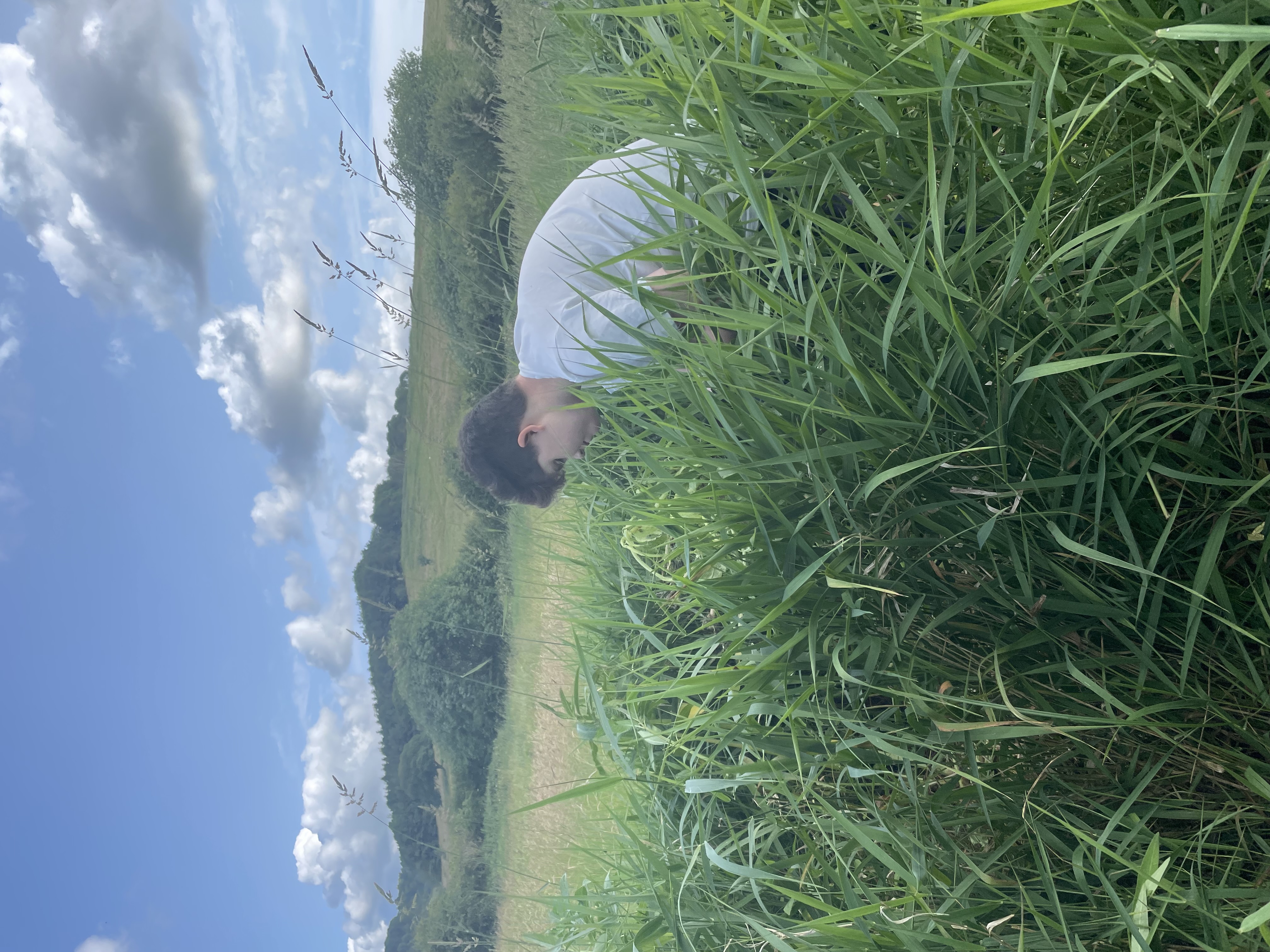 Removing Himalayan balsam