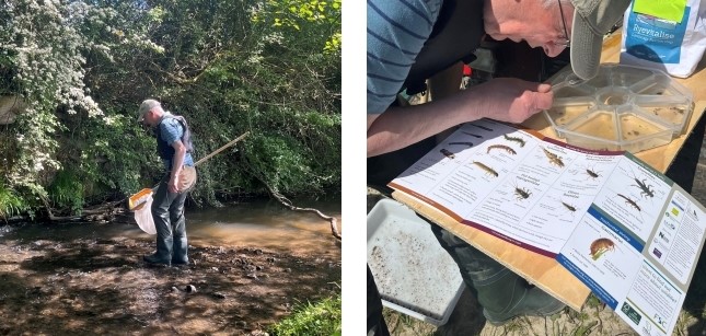 Volunteer conducting riverfly monitoring