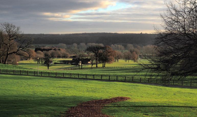 Ampleforth Abbey Grounds